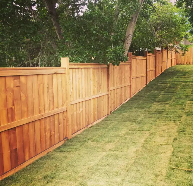 Cedar privacy fence by Lamacraft